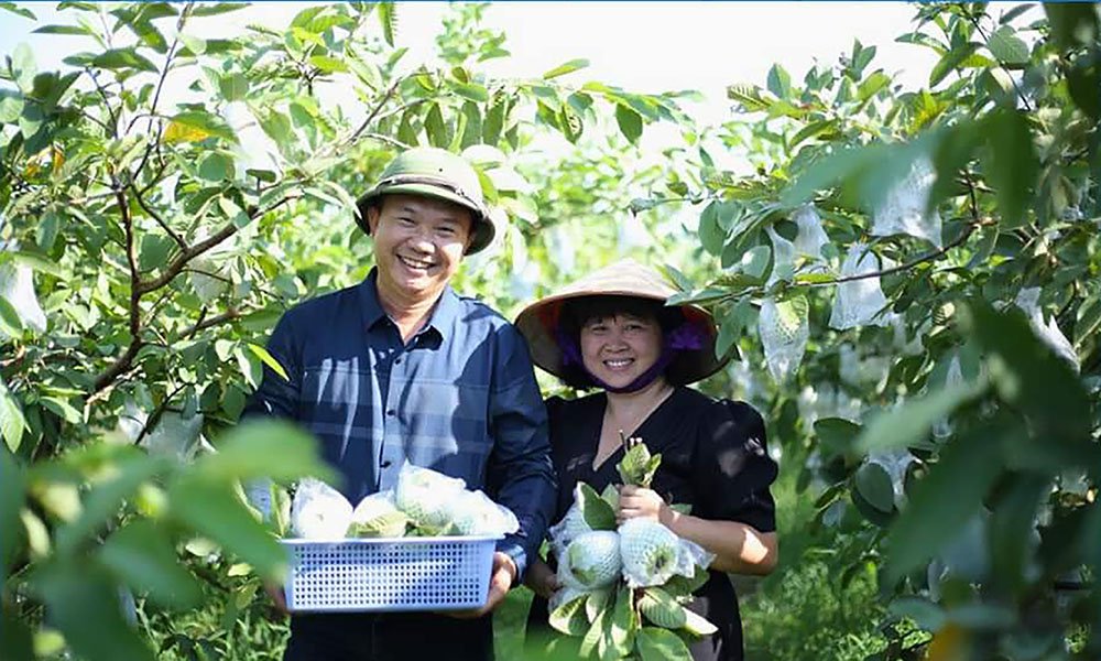 Cooperatives bridge to boost agricultural value in Bac Ninh 